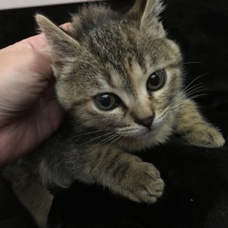 ありがとうございました♪