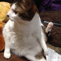 じゅに