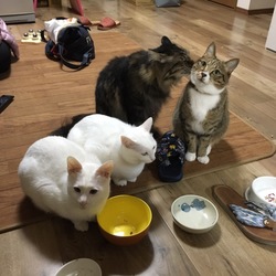 名前