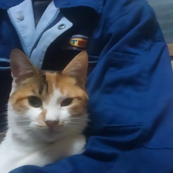 大人気なかったかな…