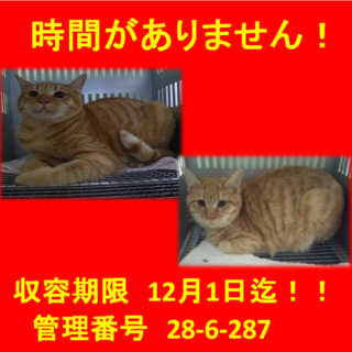 里親決定！！家族ができました(*´▽｀*)