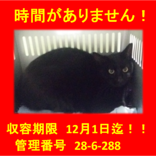 里親決定！！家族ができました(*´▽｀*)