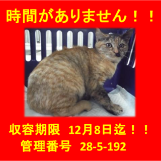 里親決定！！素敵な家族に出会えました(^^♪