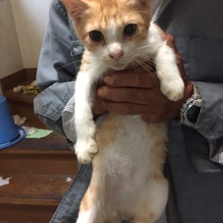 ありがとうございました