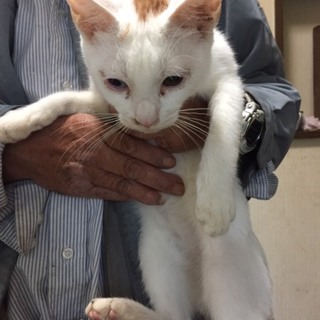 ありがとうございました