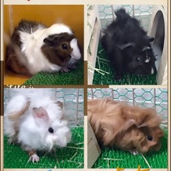 大きくなったなぁ