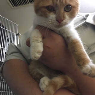 ありがとうございました