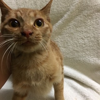 ありがとうございました