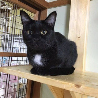 人馴れした可愛い姉妹