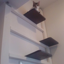 「DIYキャットタワー改良計画失敗」サムネイル1