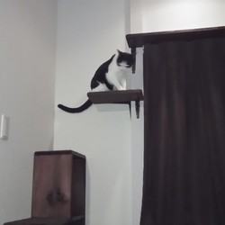 「階段状棚を作りました」サムネイル3