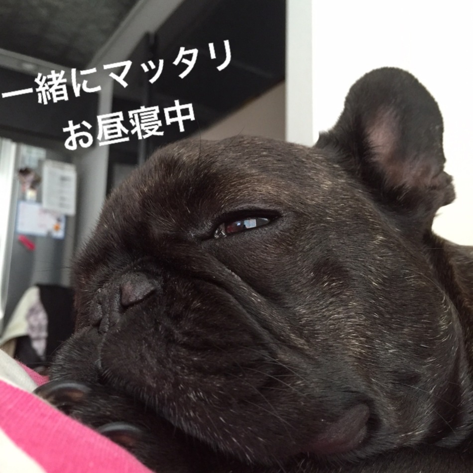 ララのカバー写真