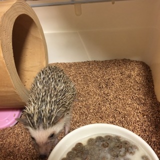 多数の応募ありがとうございました。