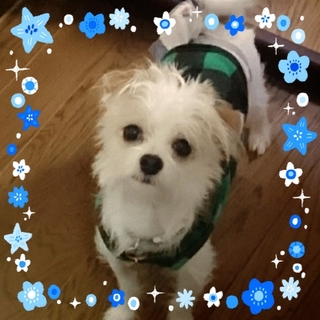 漆黒の瞳にドキュン!!マルチmixのアラン君