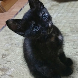 可愛い三兄弟♪