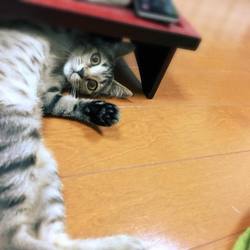 初めての床暖房