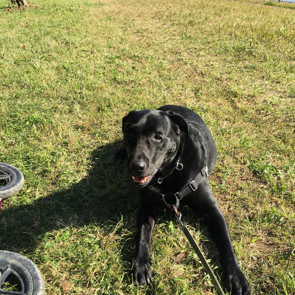 まさむねのカバー写真