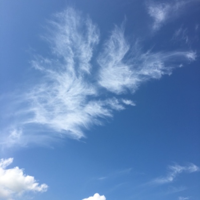 accohimitsuのカバー写真