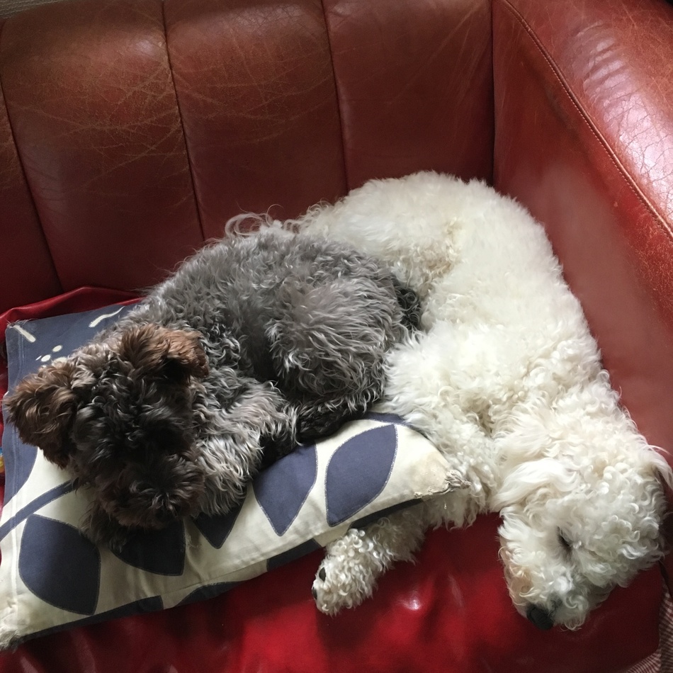 梵天丸のカバー写真