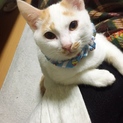 困り顔のちょびヒゲ王子