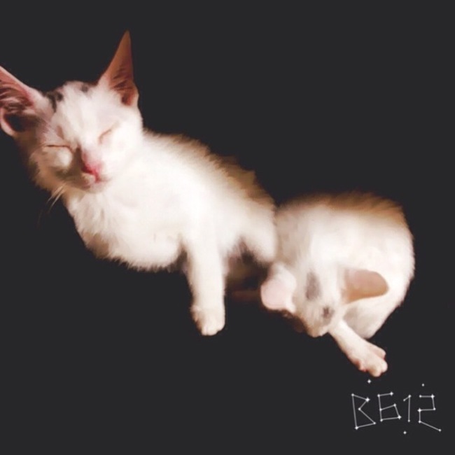 り。のカバー写真