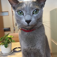 じゅん