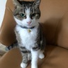  さん