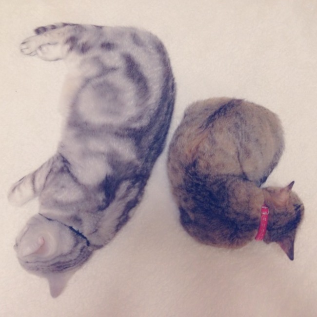 じゅん417のカバー写真