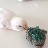シーインコ