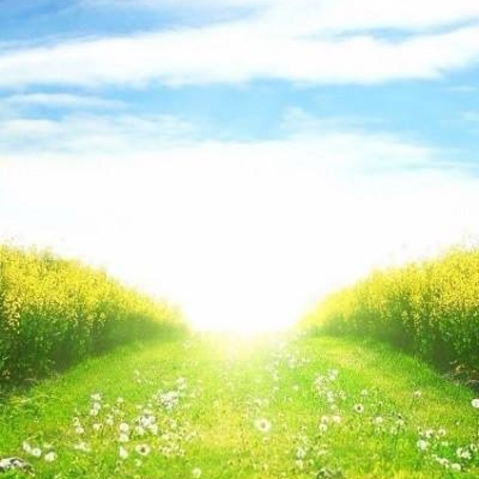 みーこのカバー写真