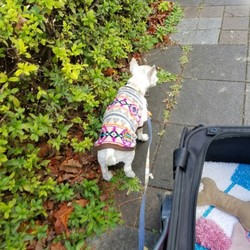 週一回のお楽しみワン(^_-)-☆