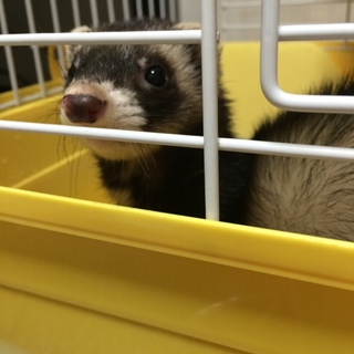 たくさんのご応募ありがとうございました！