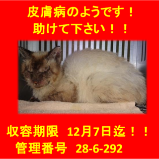 亡くなりました。