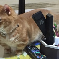 キミ