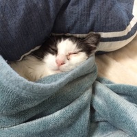 みーちゃん