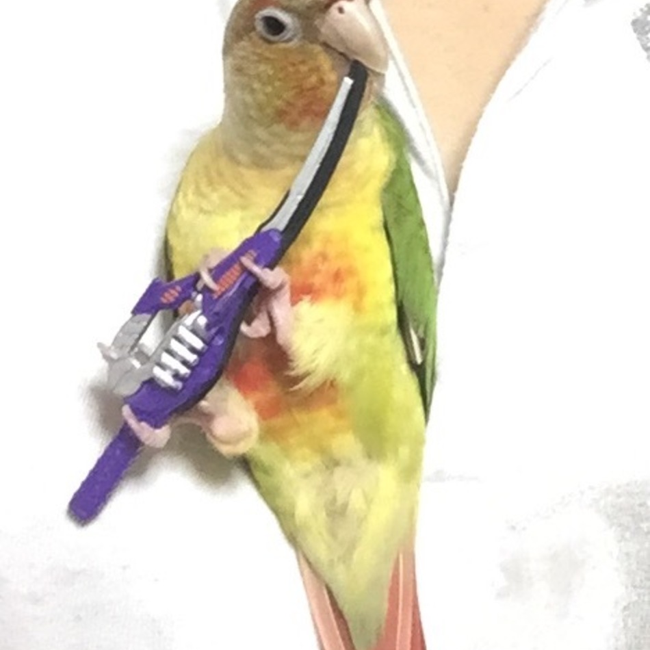 よもぎのカバー写真