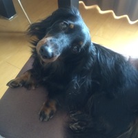 リアン