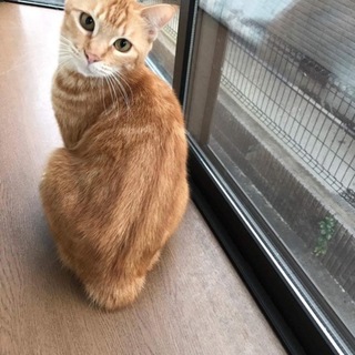 小顔で可愛い知世ちゃん＊