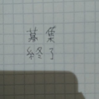 ノルウェージャン・フォレスト・キャット。６か月。