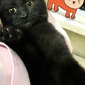 抱っこ大好き６ヶ月の男の子♂