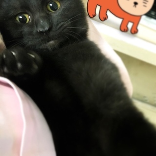 抱っこ大好き６ヶ月の男の子♂