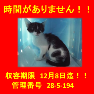 里親決定！！家族ができました(*´▽｀*)