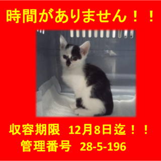 里親決定！！家族ができました(*´▽｀*)