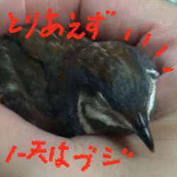 「衝撃で脱糞。」サムネイル2