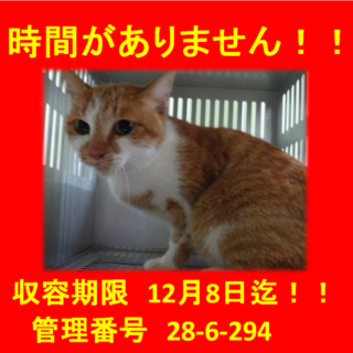 里親決定！！家族ができました(*´▽｀*)