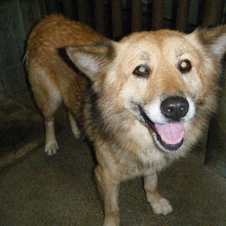 笑顔の可愛い男の子♪