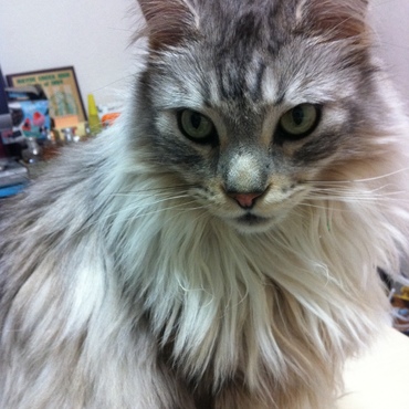 イケメンすぎて♡（親バカです）