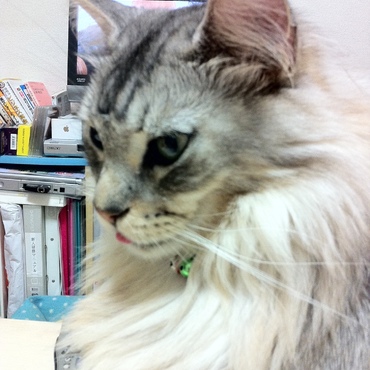 舌、でてるよ！