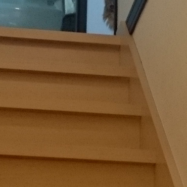 ある日のお見送り