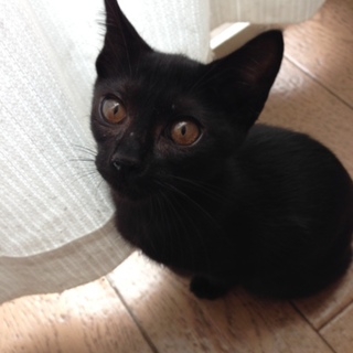 ゴロゴロ元気女子